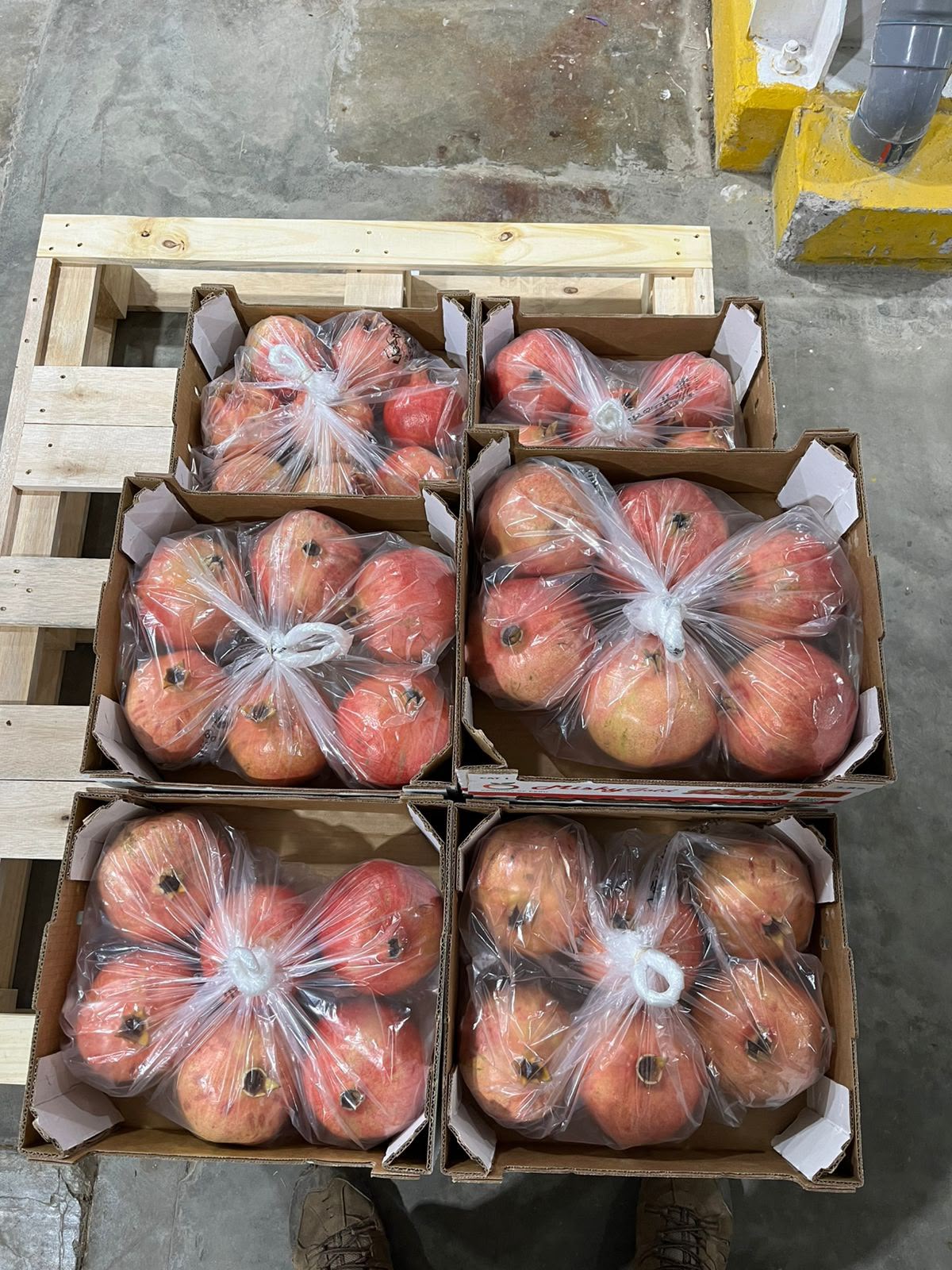 Cajas con granadas