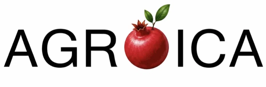 Logo AGROICA